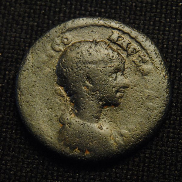 Æ-Of-Antioch---Severus-Alexander-Needs-Attribution-?
